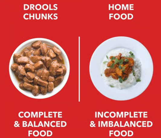 Drools Adult Dog Wet Food (Chicken Liver Chunks in Gravy)