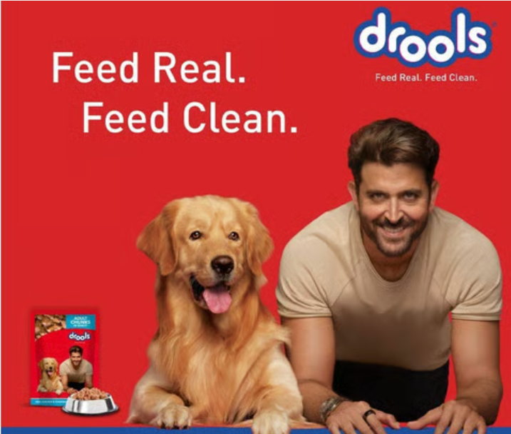 Drools Adult Dog Wet Food (Chicken Liver Chunks in Gravy)