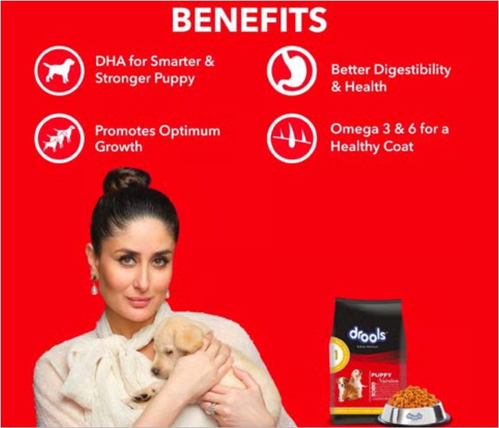 Drools Chicken & Egg Dry Puppy Food