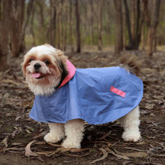 Pet Set Go Dual Colour Cape Style Raincoat for Dogs
