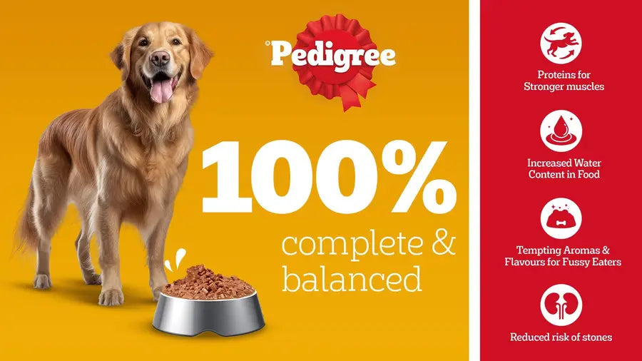 Pedigree Adult Wet Dog Wet Food - Chicken & Liver Chunks in Gravy