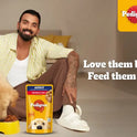 Pedigree Adult Wet Dog Wet Food - Chicken & Liver Chunks in Gravy