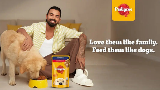 Pedigree Adult Wet Dog Wet Food - Chicken & Liver Chunks in Gravy