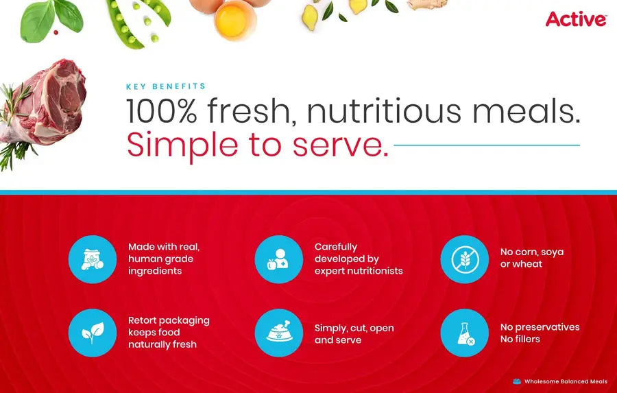 Active Fresh Mutton Biryani Dog Wet Food