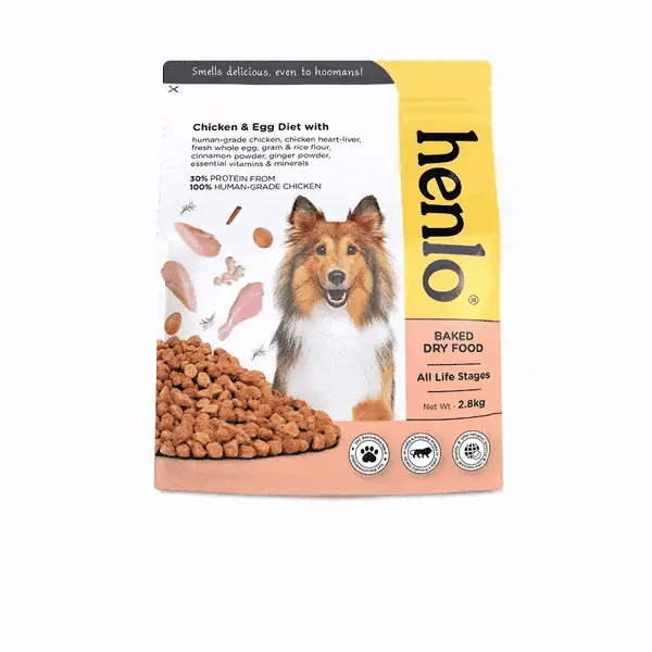 Chicken and Egg Baked Dry Food for Adult Dogs & Puppies